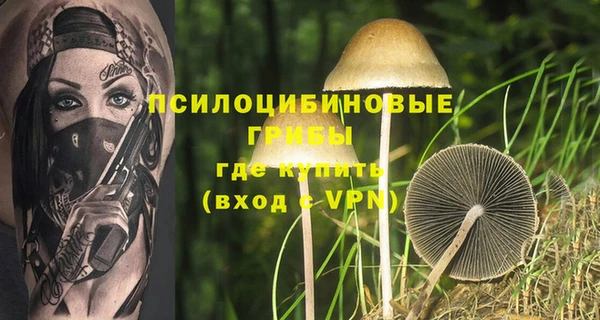 эйфоретик Арсеньев